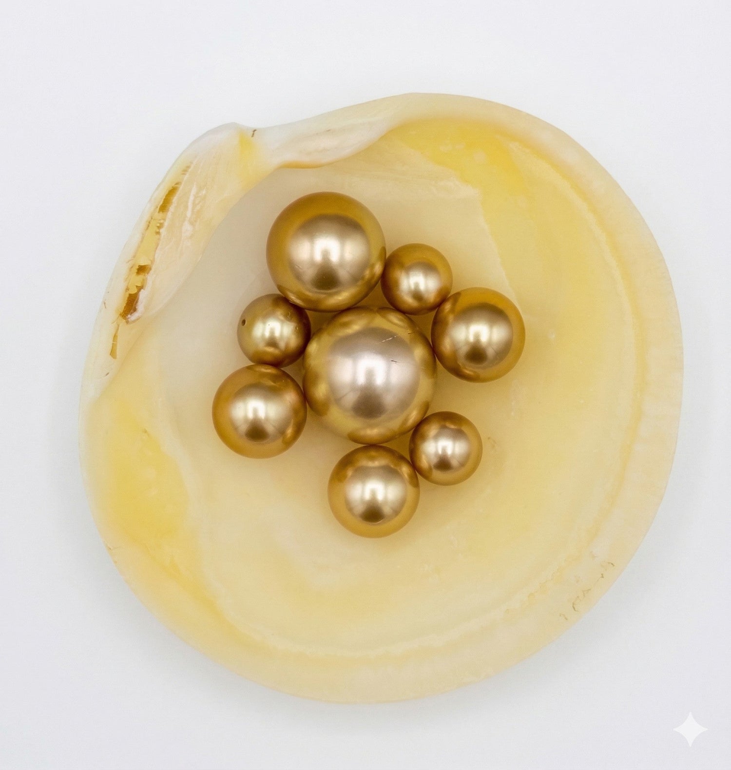 Golden South Sea Pearls