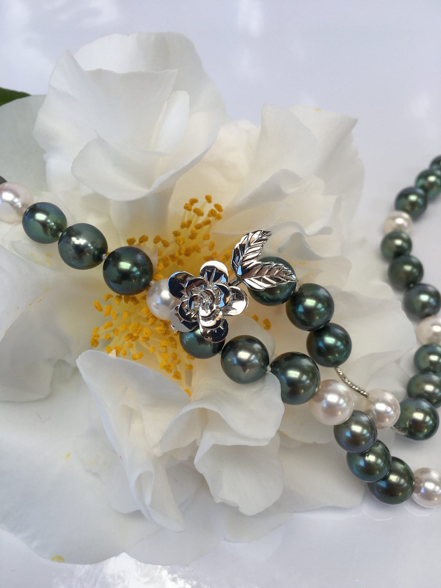 N36_8-11mmAkoTah14kwadj