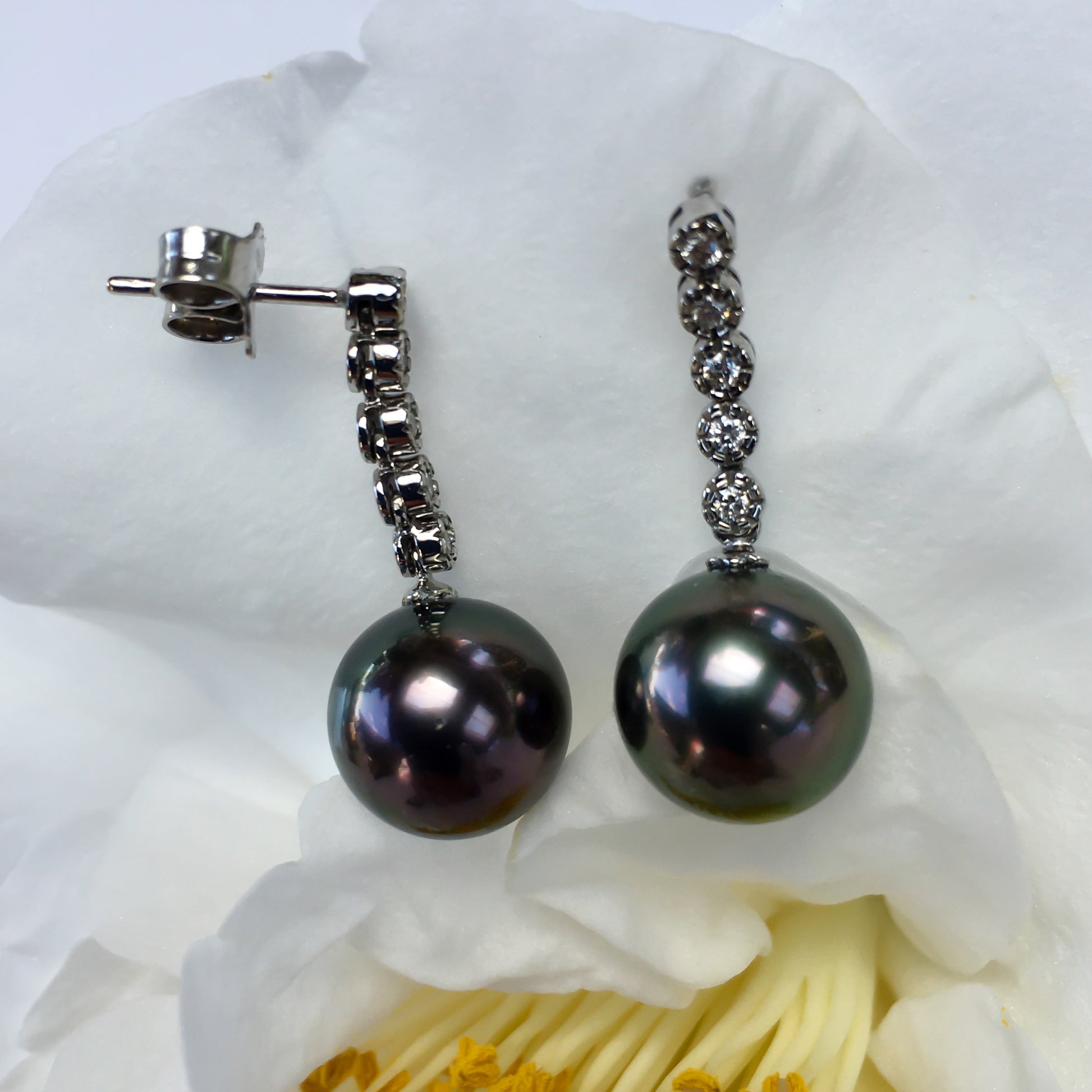 Tahitian Pearl Diamond Earrings in 14K White Gold – Fine Jewelry Close-Up