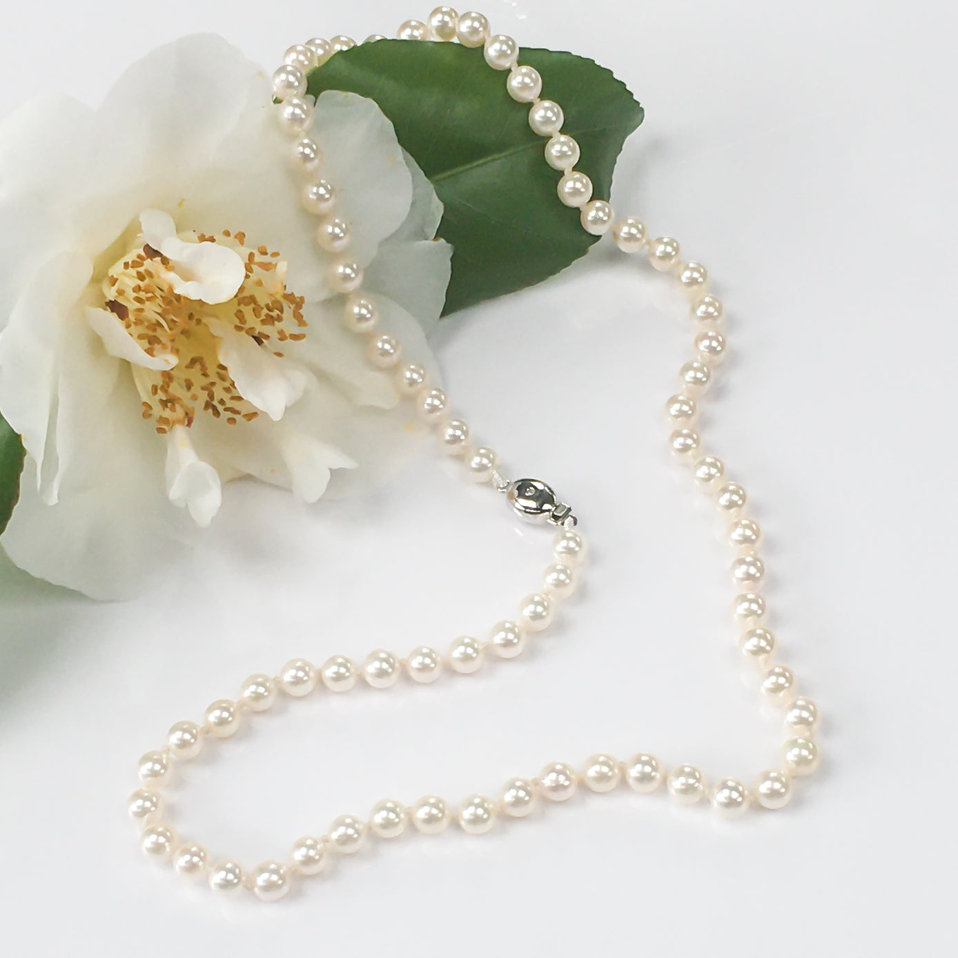 N19W5.5-6mmJpnAkoya14KWGDmnd