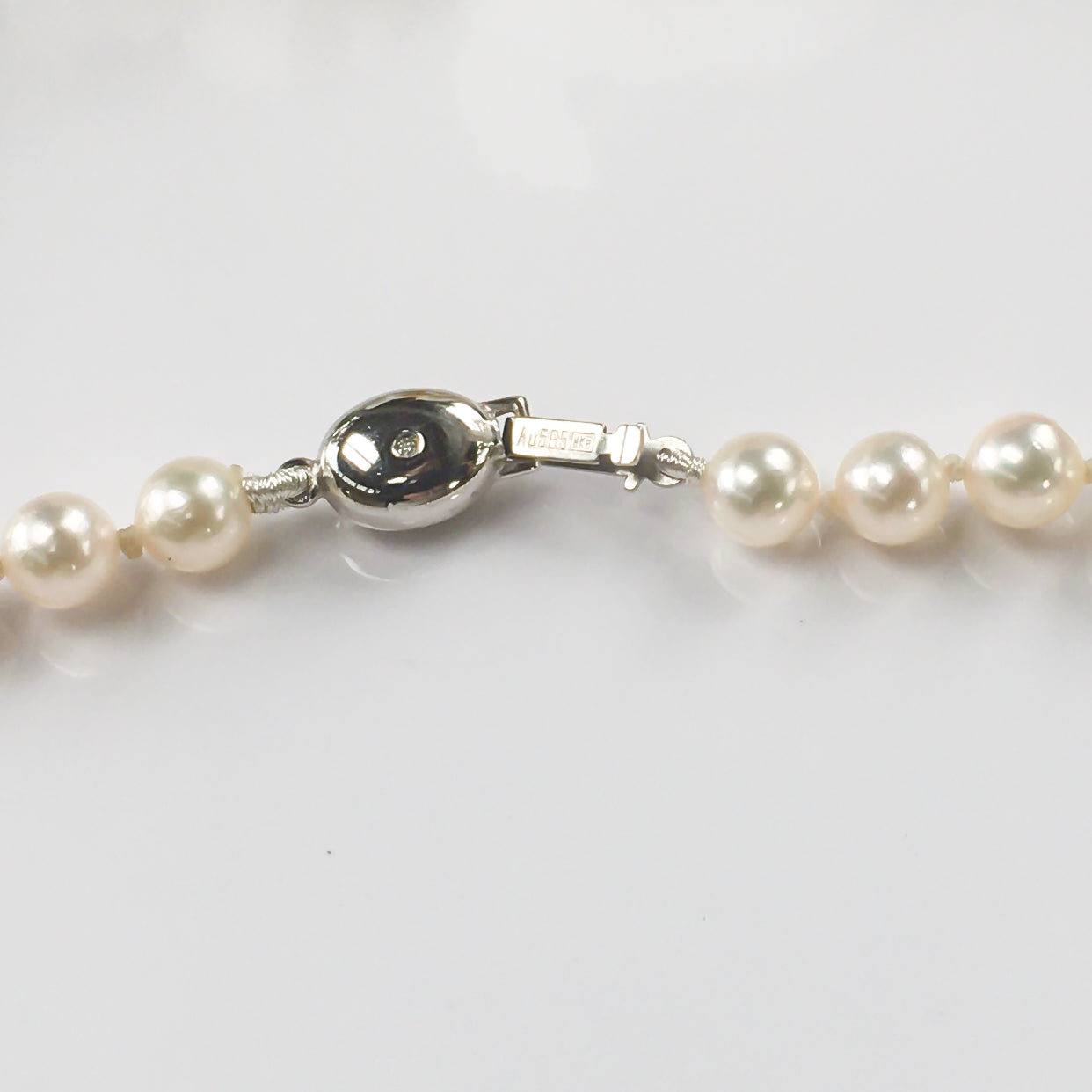 N19W5.5-6mmJpnAkoya14KWGDmnd