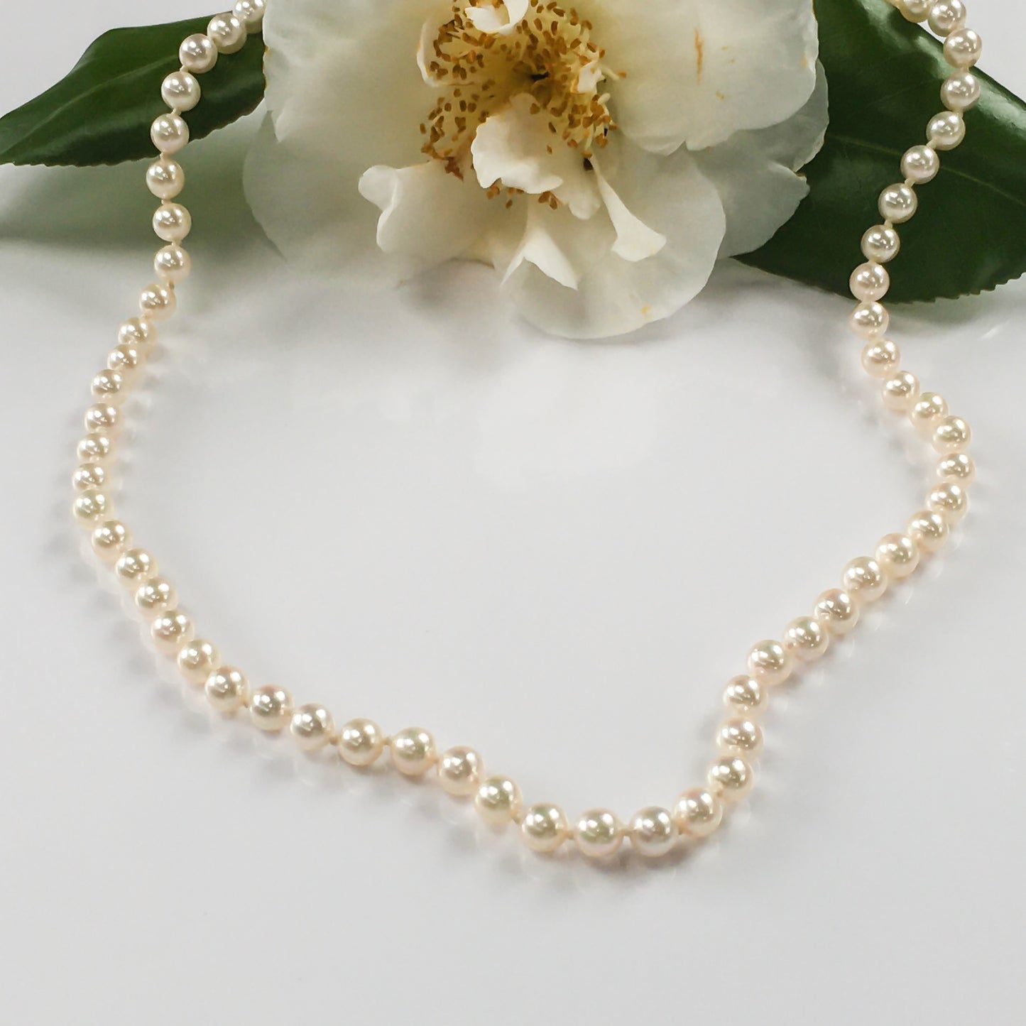 N19W5.5-6mmJpnAkoya14KWGDmnd