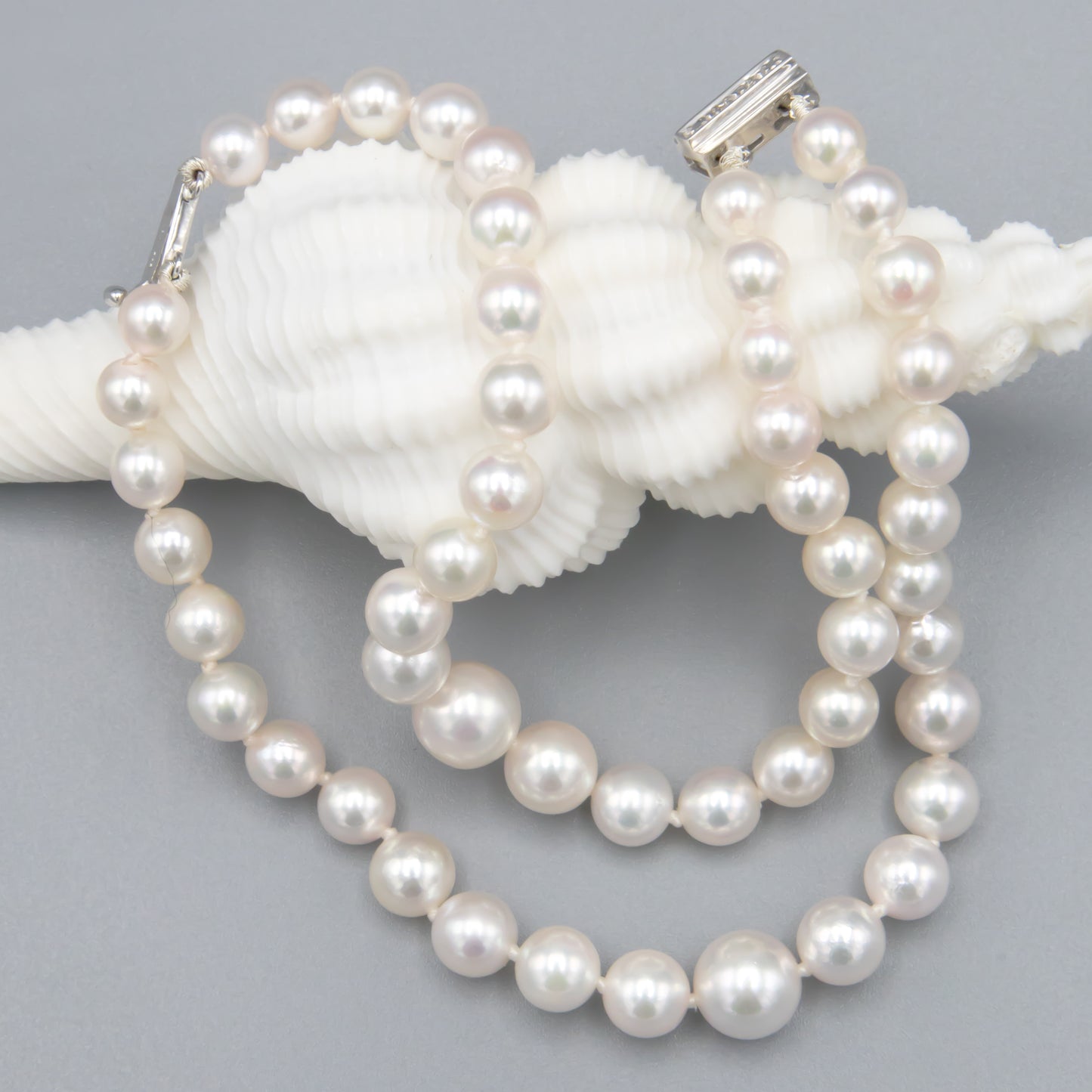 B7.1inch5.5-8.5mmAkoya2str14kwdia