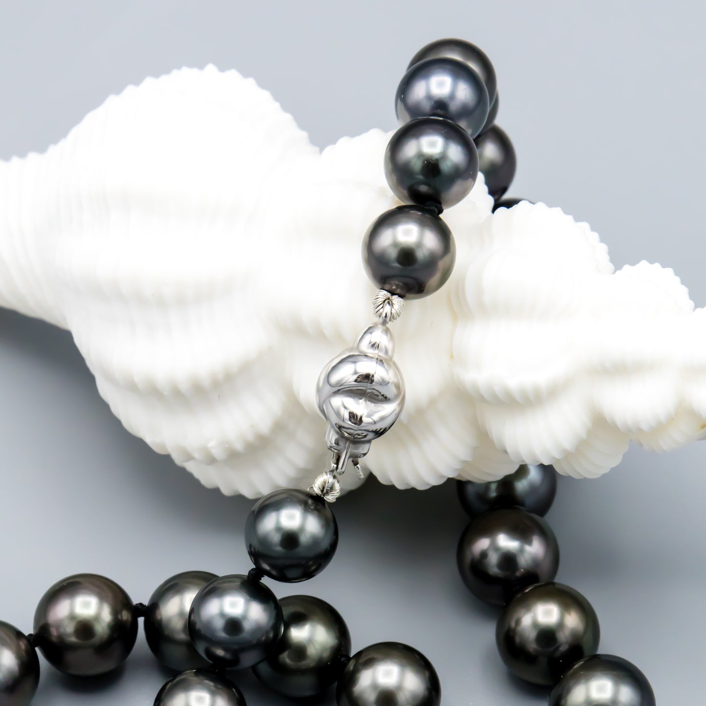 N18inch8-10.5mmTahitian18kwclp