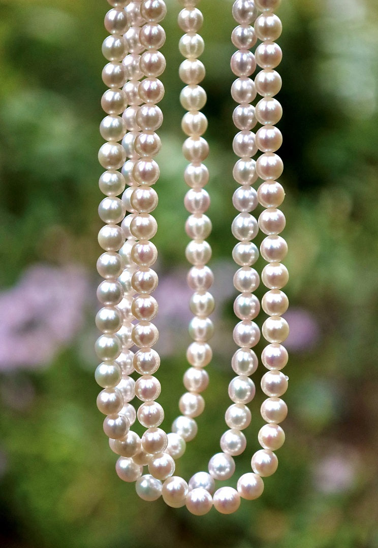 N18W7-7.5mmJpnAkoya14KYG