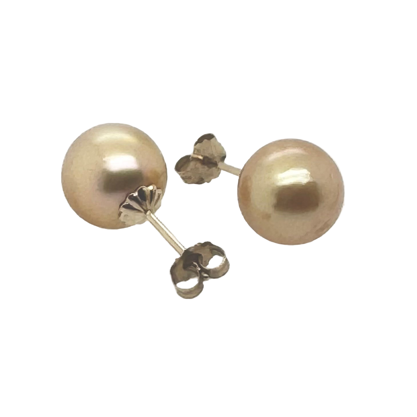 Golden South Sea Pearl Earrings 14K Gold - Worn on Ear