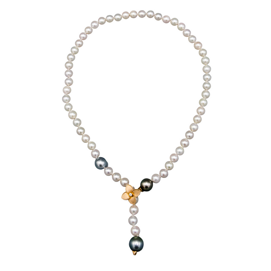 N19_7-7.5MMJPNAKOYA14KRGDMND