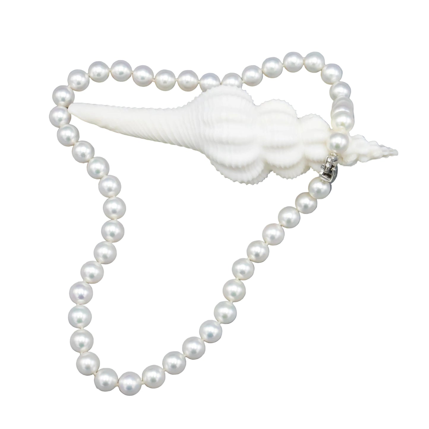 18 inch Hanadama Akoya Pearl Necklace strand draped over a seashell