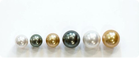 A row of six loose round pearls in various sizes and natural colors, including white, dark peacock green, and golden yellow, set against a plain white background.